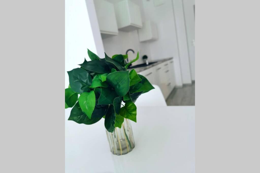 מידזיזדרויה Green Apartment Promenada Gwiazd- Widok Na Morze. מראה חיצוני תמונה